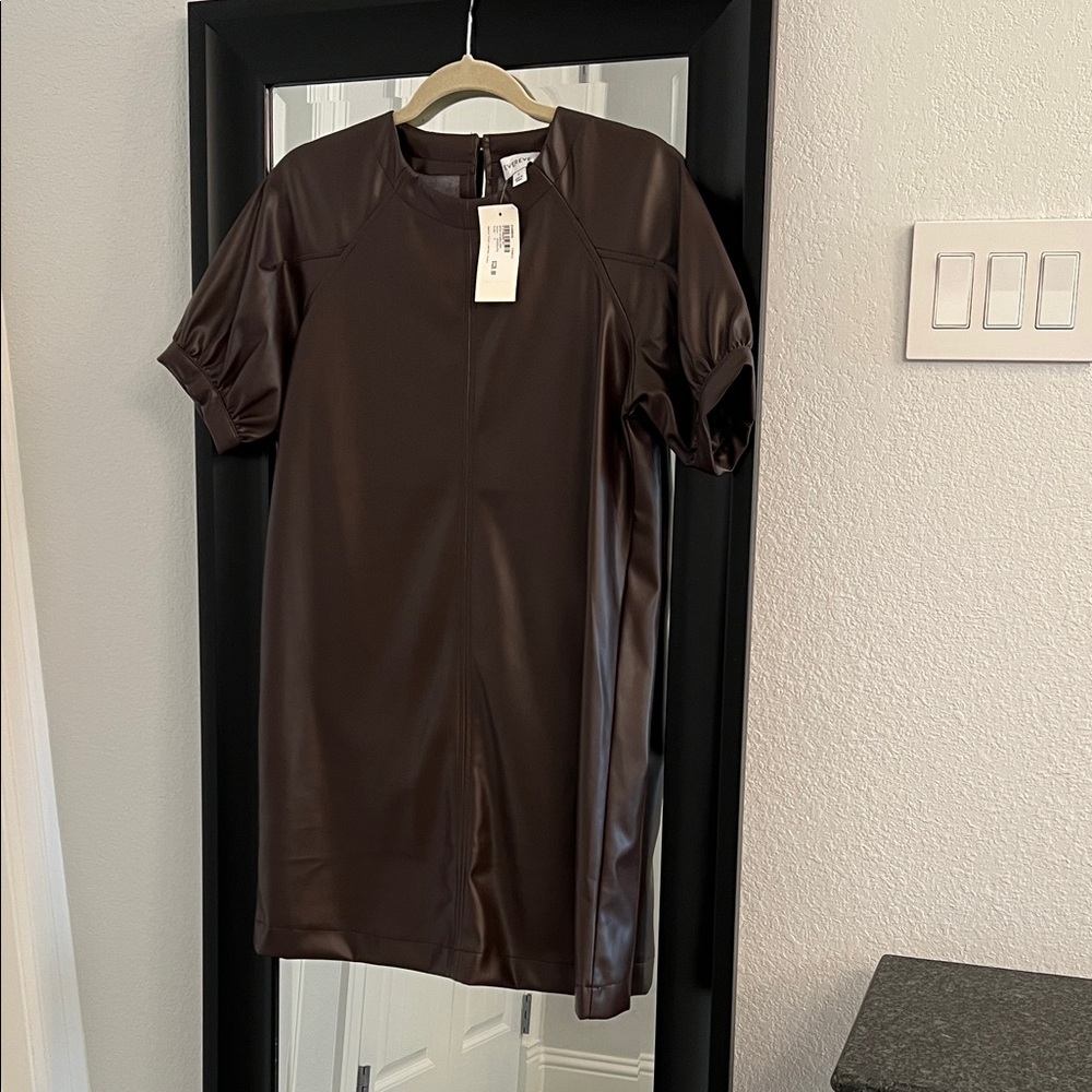 Evereve Danna Faux Leather Dress in Chocolate